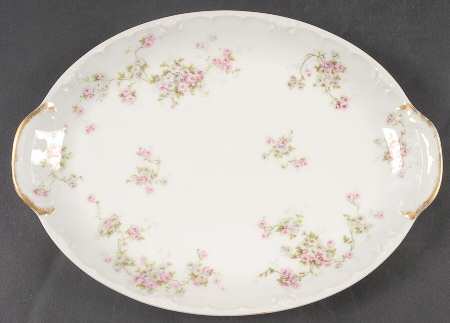 Schleiger 320-11 by Haviland