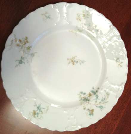 Schleiger 1170-2 by Haviland