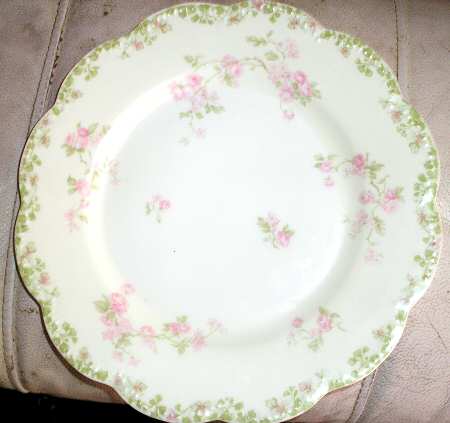Schleiger 461-5 by Haviland