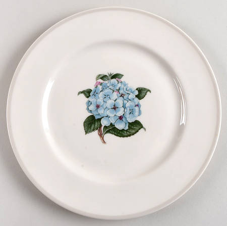 H4265 Luncheon Plate