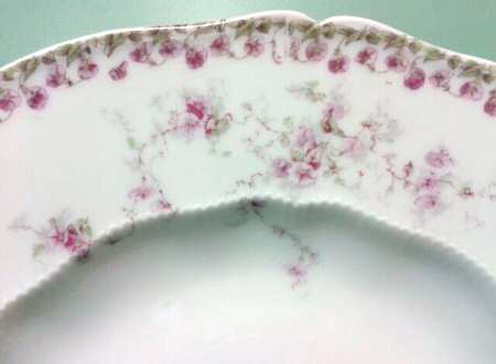 Schleiger 159-5 by Haviland