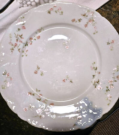 H4396 Dinner Plate