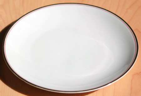 2490 Dinner Plate