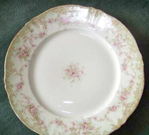 Schleiger 341-10 by Haviland