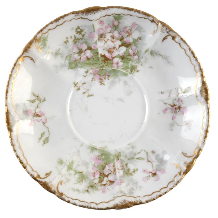 Schleiger 146-13 by Haviland