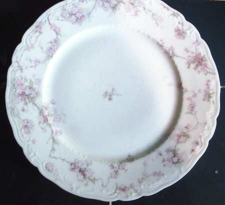 Schleiger 248-18 by Haviland