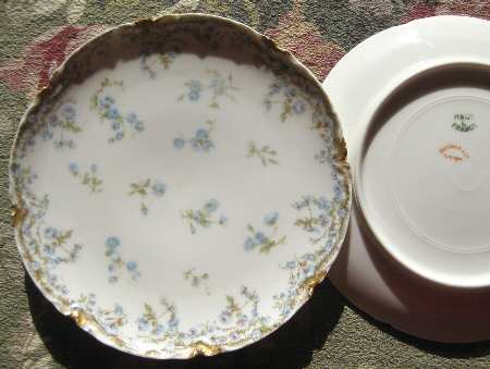 Schleiger 698-3 by Haviland