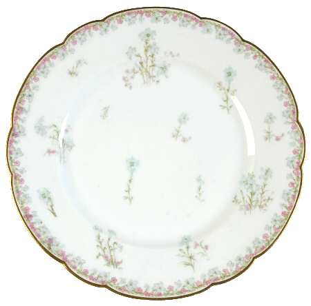 Schleiger 229-1 by Haviland