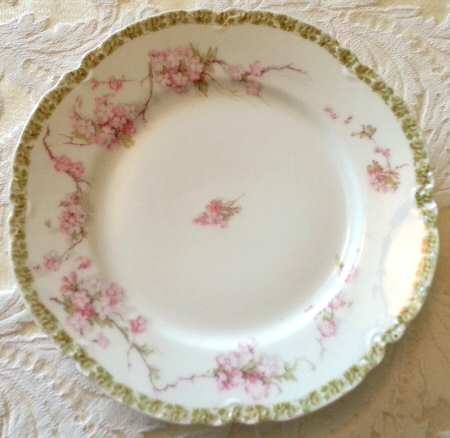 Schleiger 248-19 by Haviland