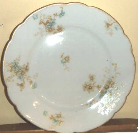 Schleiger 331-14 by Haviland