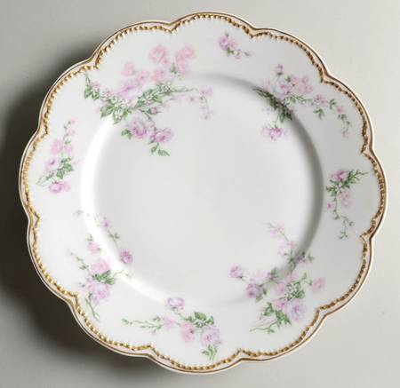 Schleiger 261-11 by Haviland