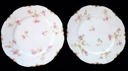 Schleiger 90-1 by Haviland