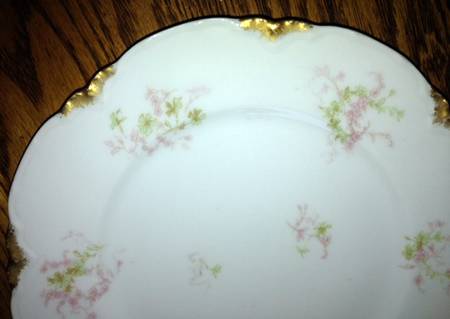 Schleiger 1169-8 by Haviland