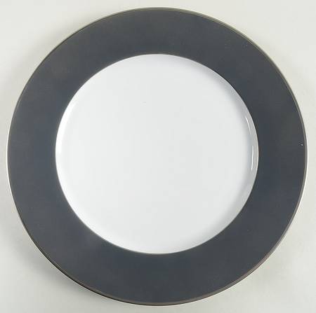 Color Block Platinum Grey Dinner Plate by Haviland