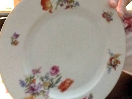HC181 Dinner Plate