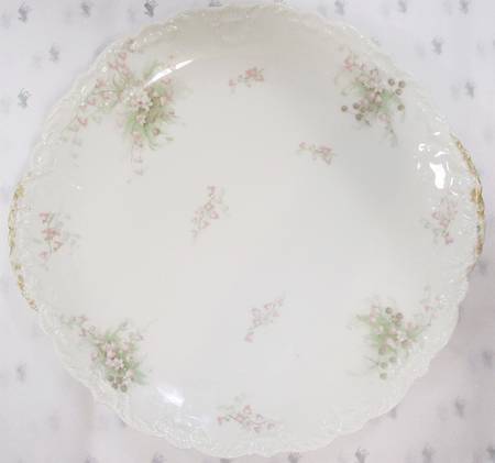 Schleiger 315-10 by Haviland