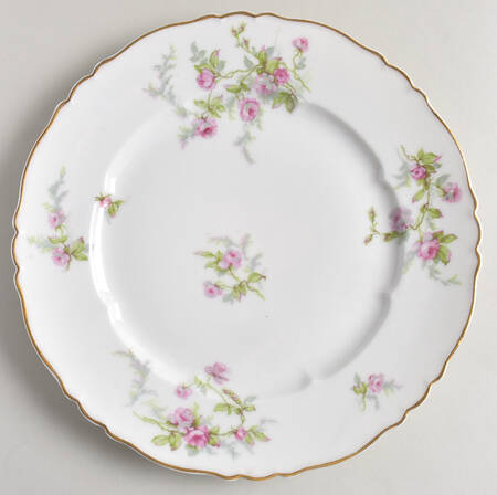 Sylvia (White, Isle de France, Gold Trim) by Haviland