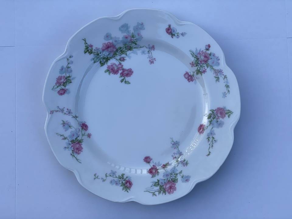 Schleiger 261-12 by Haviland