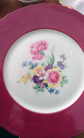 HWC58 Dinner Plate