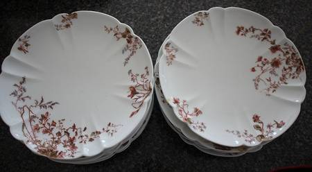 Schleiger 1157-11 by Haviland