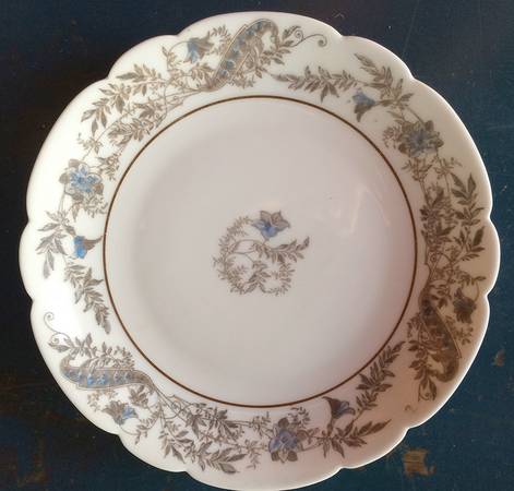 Schleiger 486-9 by Haviland