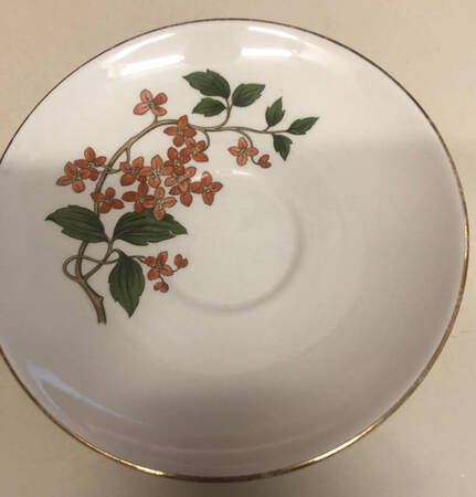 Ry155 Saucer