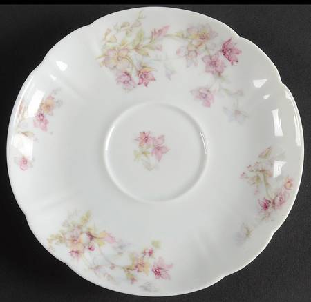 Schleiger 91-9 by Haviland