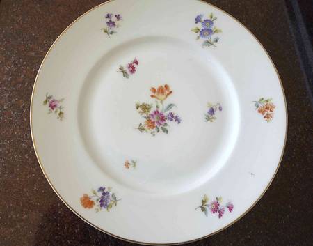 16828 Dinner Plate