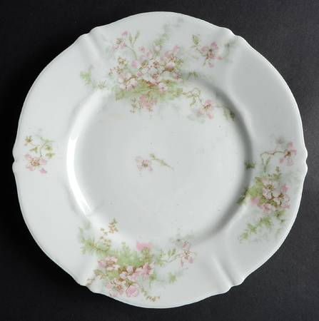 Schleiger 146-15 by Haviland