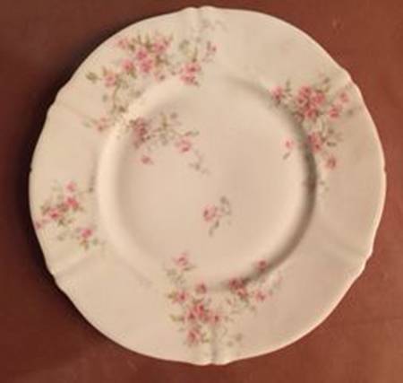 Schleiger 150-31 by Haviland