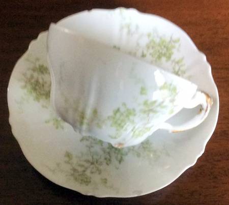 Schleiger 834-16 by Haviland