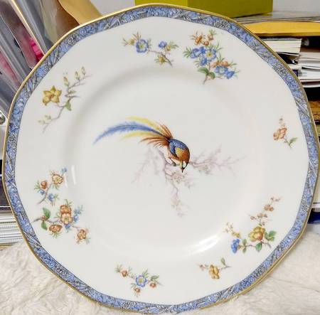 Bengal by Haviland