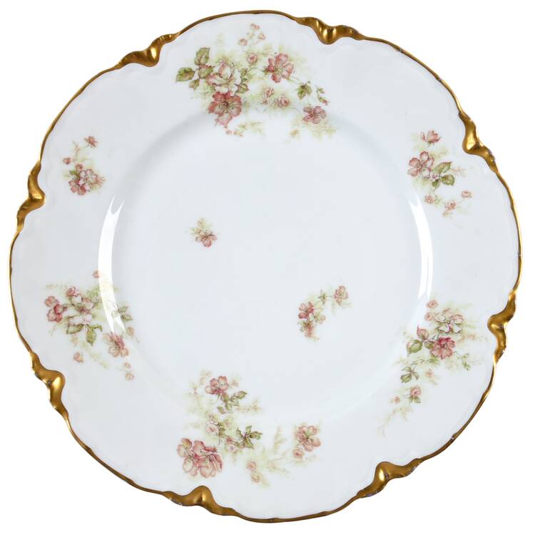 Schleiger 1172-6 by Haviland