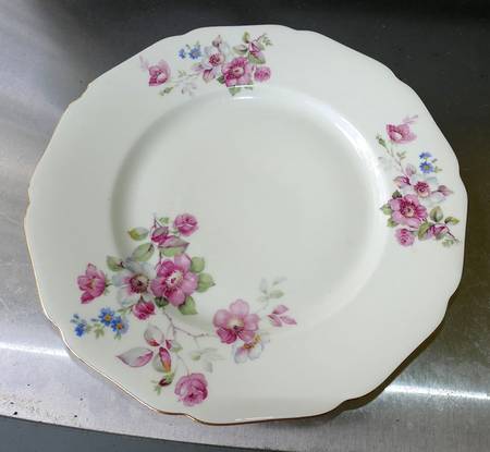 22230 Dinner Plate