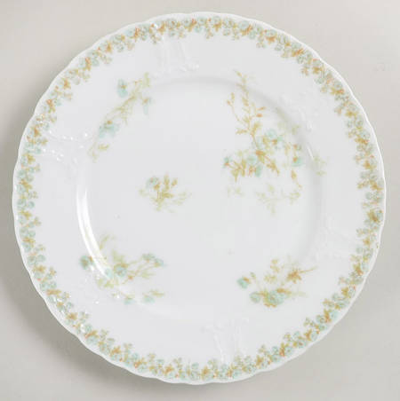 Sch1169-9 Salad Plate