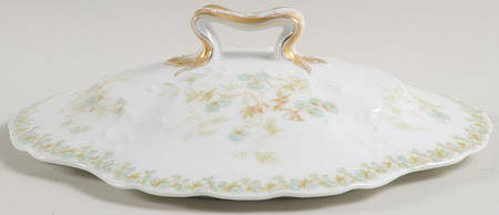 Sch1169-9 Lid for Round Vegetable