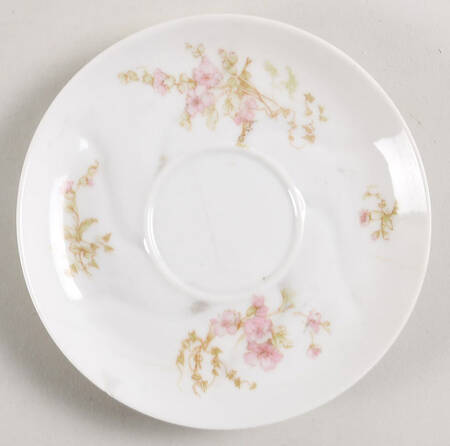 Sch451-5 by Haviland