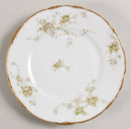 Schleiger 837-22 by Haviland