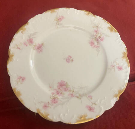 Schleiger 254-7 by Haviland