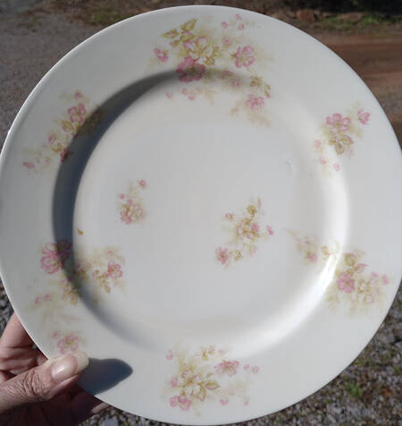 Sch1172-7 by Haviland