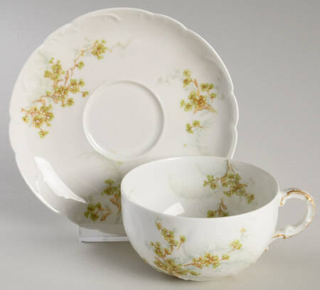 Schleiger 1026-12 Flat Cup & Saucer Set by Haviland