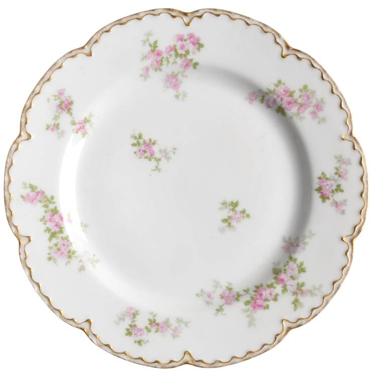 Schleiger1131-6 by Haviland