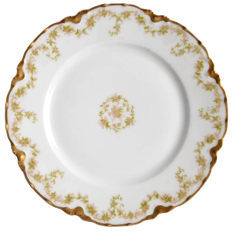 Sch951-1 by Haviland
