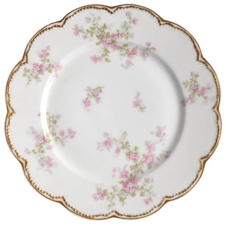 Schleiger 29-6 by Haviland