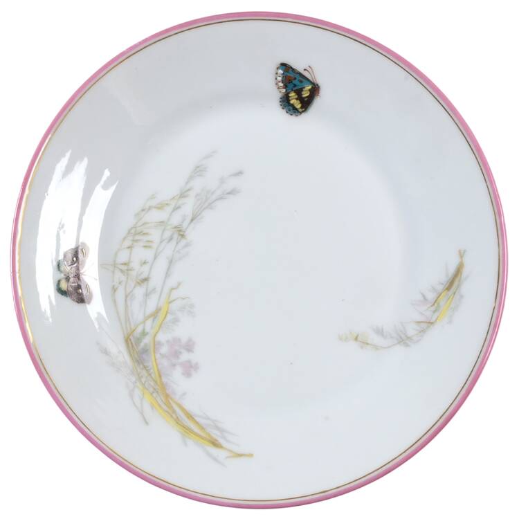 Meadow Visitors (Pink Trim) Salad Plate