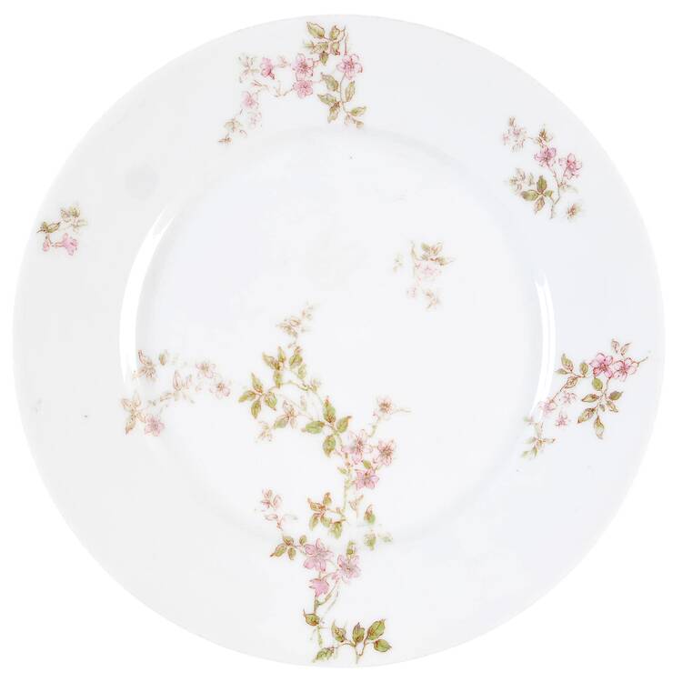 SCH464-8 by Haviland