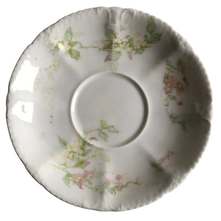 Schleiger 1240-15 by Haviland