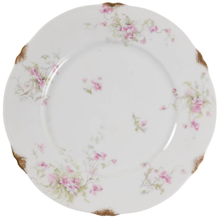 Schleiger 147-20 by Haviland