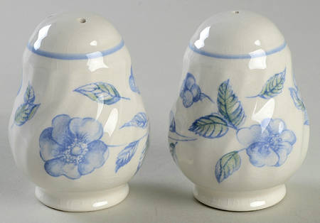 BRISTOL BLUE (Blue Trim) Salt & Pepper Set