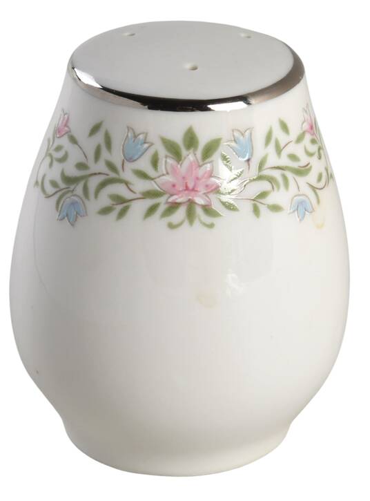Eileen Salt Shaker